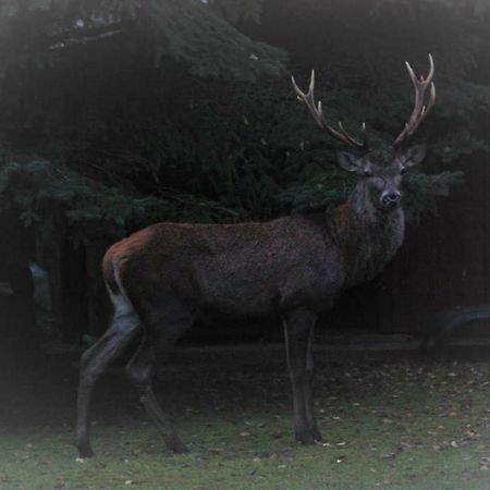 ピエールフォン L'Eugenieヴィラ エクステリア 写真